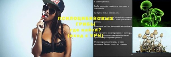 первитин Алексин