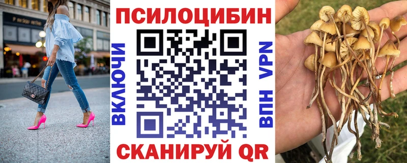 Псилоцибиновые грибы прущие грибы закладки Кулебаки